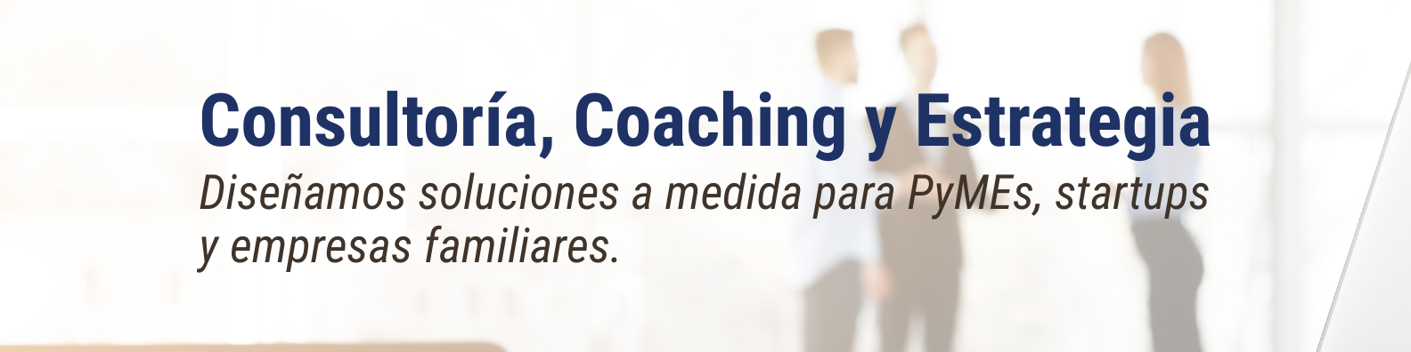 Consultoría, Coaching y Estrategia