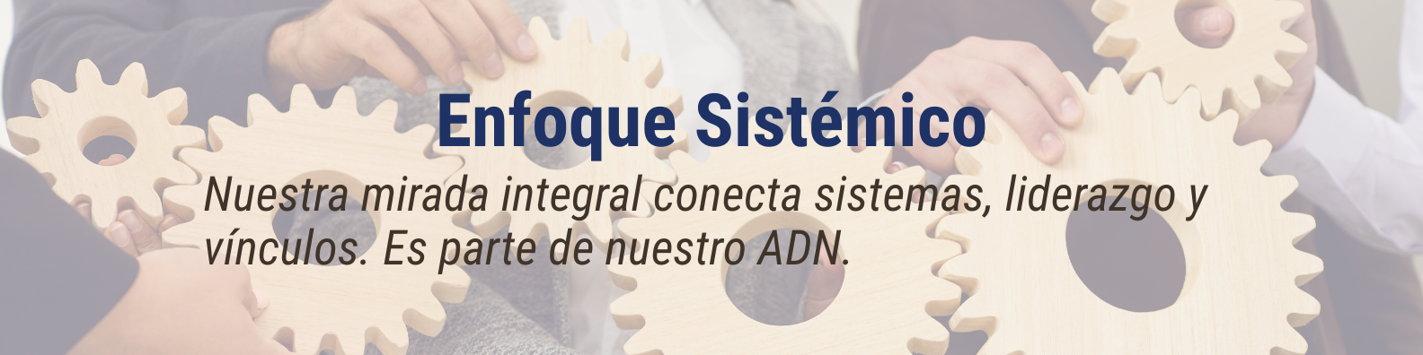 Enfoque Sistémico
