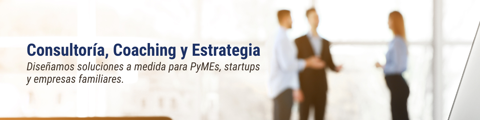 Consultoría, Coaching y Estrategia