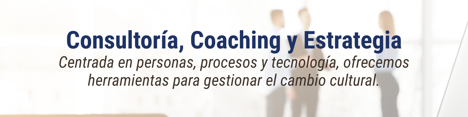 Adn Organizacional Servicios (10)