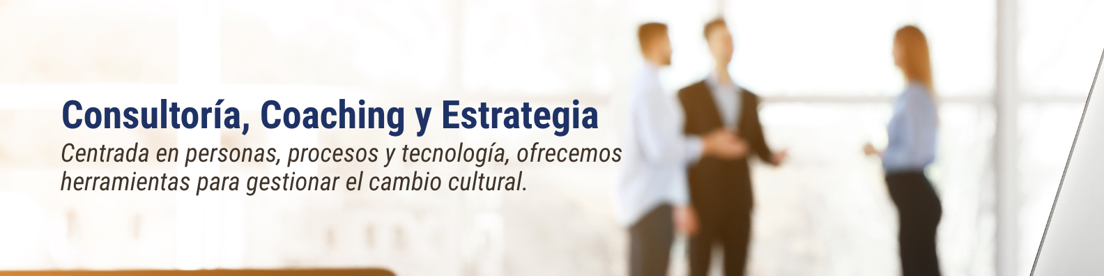 Adn Organizacional Servicios (11)