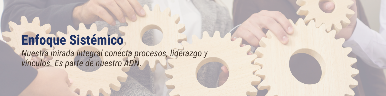 Adn Organizacional Servicios (9)